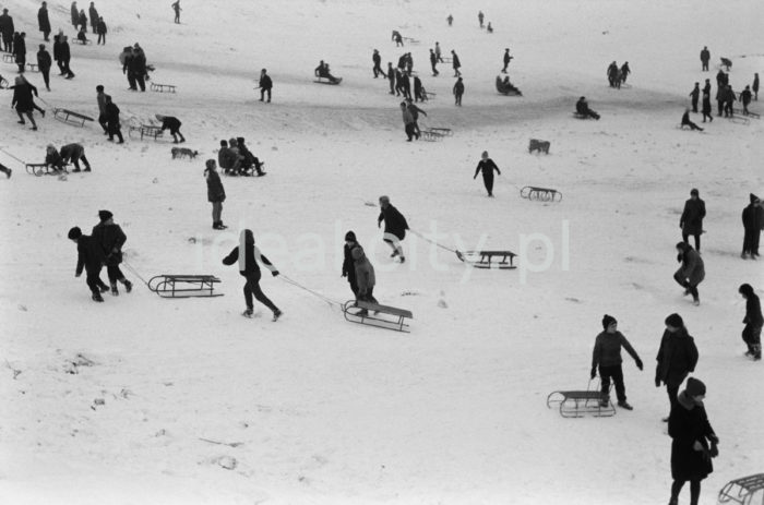 Winter on the Nowa Huta Escarpment and in the Meadows. 1960s.

Zima na Skarpie i Łąkach Nowohuckich. Lata 60. XX w.

Photo by Henryk Makarewicz/idealcity.pl


