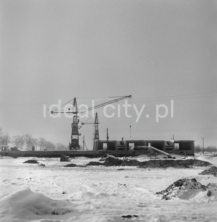 Budowa osiedli mieszkaniowych, lata 50.

fot. Wiktor Pental/idealcity.pl
