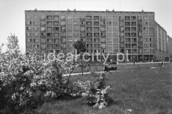 Osiedle Centrum B (B-31) z modernistycznym blokiem francuskim przy alei Przyjaźni Polsko-Radzieckiej (obecnie alei Przyjaźni). Blok zwany był także „blokiem eksperymentalnym” całkowicie prefabrykowanym i uprzemysłowionym. Zaprojektowany został przez Kazimierza Chodorowskiego w 1956 roku, budowany w latach 1957- 1959 roku. Blok o długości 74 m wzniesiono na wysokość ośmiu kondygnacji a elewację urozmaicono naprzemiennym zastosowanie balkonów i loggii. Na parterze znajdowały się awangardowe wnętrza z nietypowymi, półokrągłymi szybami giętymi w narożnikach. Mieściła się tam siedziba biura PPiT „Orbis”, do którego meble i aranżację wnętrza wykonała Irena Pać-Zaleśna. W środkowej części kompleksu handlowo-usługowego znajdował się sklep meblowy zaprojektowany przez Zdzisława Szpyrkowskiego. Kompleks usługowy zamykała siedziba Klubu PTTK, do którego wnętrza wraz z wyposażeniem zaprojektowała Alina Zięba. Lata 60. XXw.


fot. Henryk Makarewicz/idealcity.pl

