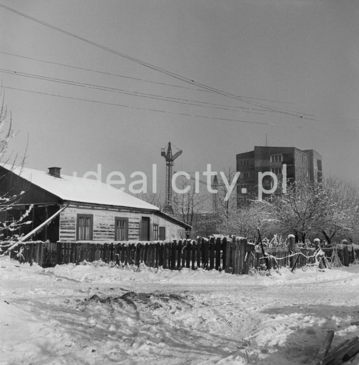 Buildings on the Handlowe Estate. 1960s.

Zabudowa Osiedla Handlowego. Lata 60. XX w.

Photo by Wiktor Pental/idealcity.pl

