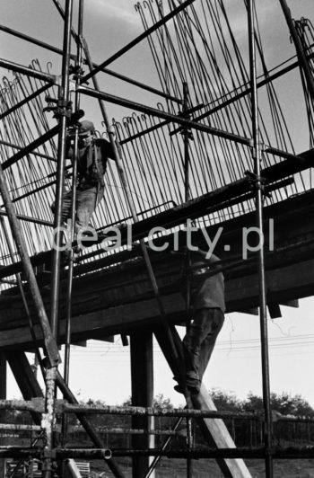 Kombinat metalurgiczny im. Lenina, montaż zbrojenia na jednym z obiektów przemysłowych przy chłodni kominowej w rejonie Siłowni, lata 60.

fot. Henryk Makarewicz/idealcity.pl


