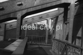 Kombinat metalurgiczny im. Lenina, galerie taśmociągów (prawdopodobnie na Wydziale Koksochemicznym), lata 60.

fot. Henryk Makarewicz/idealcity.pl

