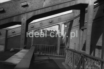 Lenin Metallurgical Combine, belt conveyors (possibly at Coking Works). 1960s.

Kombinat metalurgiczny im. Lenina, galerie taśmociągów (prawdopodobnie na Wydziale Koksochemicznym), lata 60.

Photo by Henryk Makarewicz/idealcity.pl

