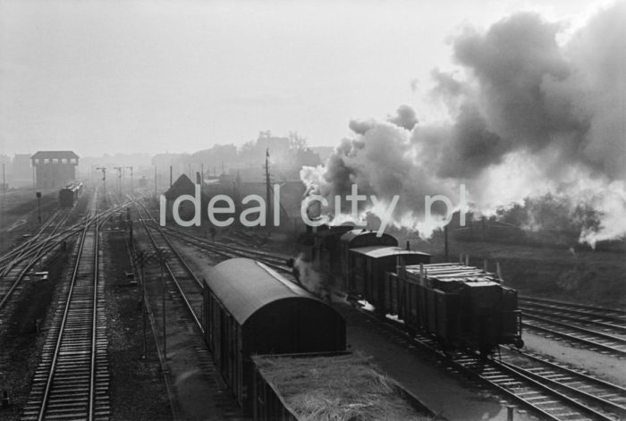 Lenin Metallurgical Combine, locomotives at Engine House, Lenin Steelworks. 1960s.
The basic mode of transport at the Lenin Steelworks was by rail. There were four transport sections before 1970, including transfer/carriage services and traction services. The combine had more than ten train stations for the transfer of cargo and railway carriages. The first Engine House was built in 1952 and housed 40 locomotives.

Kombinat metalurgiczny im. Lenina, parowozy na terenie Parowozowni Huty im. Lenina, lata 60.
Podstawowym środkiem przewozu w Hucie im. Lenina był transport kolejowy. Do 1970 roku zajmowały się tym cztery wydziały przewozowe, w skład których wchodziły służby przewozowo-wagonowe oraz służby trakcyjne. Wewnątrz kombinatu znajdowało się kilkanaście stacji kolejowych, przez które odbywał się przepływ ładunków i wagonów kolejowych. Pierwsza Parowozownia dla 40 parowozów powstała w 1952 roku.

Photo by Henryk Makarewicz/idealcity.pl


