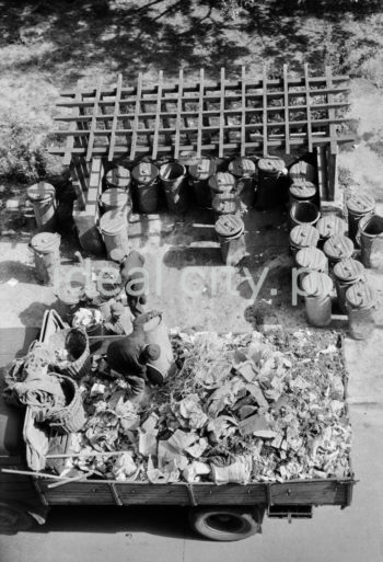 Pracownicy Miejskiego Przedsiębiorstwa Oczyszczania (do 1 lutego 1951 roku nazywanego Zakładem Oczyszczania Miasta) wywożą śmieci z podworca jednego z nowohuckich, centralnych osiedli. Widoczny samochód ciężarowy Star 20. Jego projekt realizowano w różnych biurach konstrukcyjnych na terenie Polski od 1946 roku.  Dalszy rozwój konstrukcji prowadzony był w Starachowicach i doprowadził do powstania pierwszych prototypowych egzemplarzy Stara 20 w 1948 roku. 15 grudnia 1948 roku pierwsze pięć egzemplarzy produkcyjnych tego modelu zaprezentowane zostało w czasie Kongresu Zjednoczeniowego PPS i PPR, który odbył się Warszawie. W roku 1948 rozpoczęto seryjną produkcję tego modelu, która w pierwszym roku produkcji wyniosła 10 sztuk (według innych źródeł 20) i stopniowo rosła osiągając w 1957 roku prawie 5 tysięcy sztuk. Lata 50.

fot. Wiktor Pental/idealcity.pl

