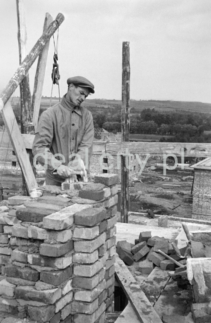 Construction of the Sportowe Estate. First half of the 1950s.

Budowa Osiedla Sportowego, pierwsza połowa lat 50. XX.

Photo by Wiktor Pental/idealcity.pl
