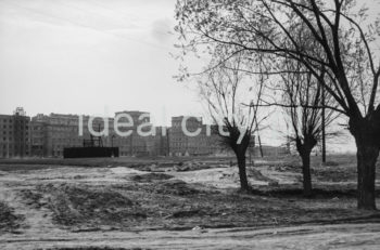 View of the Centrum B and Centrum C Estates, from the future Park Ratuszowy. 1950s.

Widok na Osiedla Centrum B i Centrum C, od strony przyszłego Parku Ratuszowego. Lata 50. XX w.

Photo by Henryk Makarewicz/idealcity.pl


