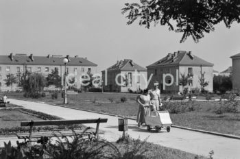 Zabudowa Osiedla Wandy. Lata 50. XXw.

fot. Wiktor Pental/idealcity.pl

