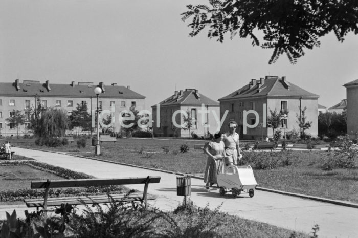 Buildings on the Wandy Estate. 1950s.

Zabudowa Osiedla Wandy. Lata 50. w.

Photo by Wiktor Pental/idealcity.pl

