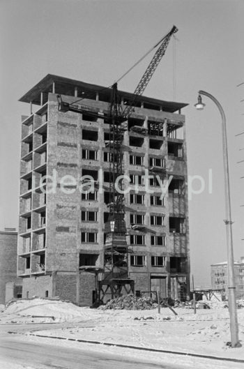 Budowa dziesięciopiętrowego punktowca tzw. helikoptera na osiedlu D-31 (Centrum D). Zbudowany został w okresie poodwilżowym (wybudowany po 1957 roku) wg. proj. architektów Kazimierza Chodorowskiego i Stefana Golonki, z jeszcze nie zbudowanym  pawilonem handlowo-usługowy „Ciastkarnią Bambo”,  l.50. XX w.

fot. Wiktor Pental/idealcity.pl

