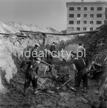 Grupa robotników przy pracach ziemnych na placu budowy w Nowej Hucie, lata 50.

fot. Wiktor Pental/idealcity.pl