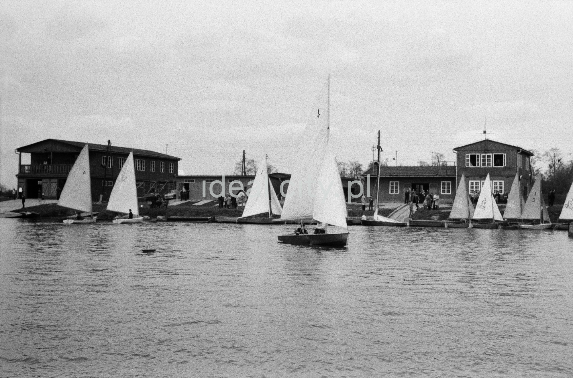 Żaglówki na jeziorze.