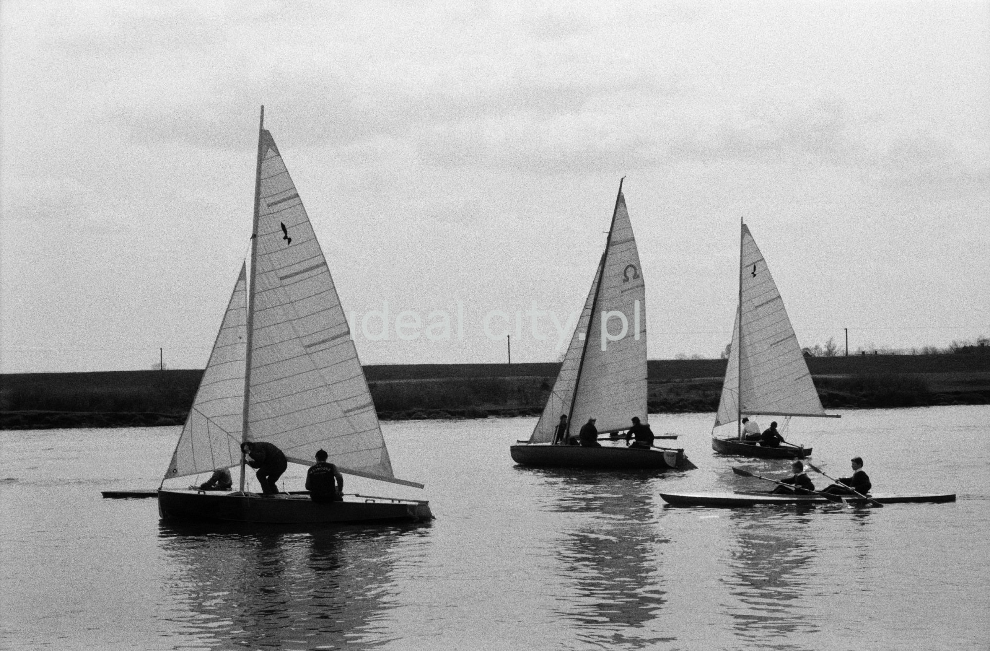 Żaglówki na jeziorze.