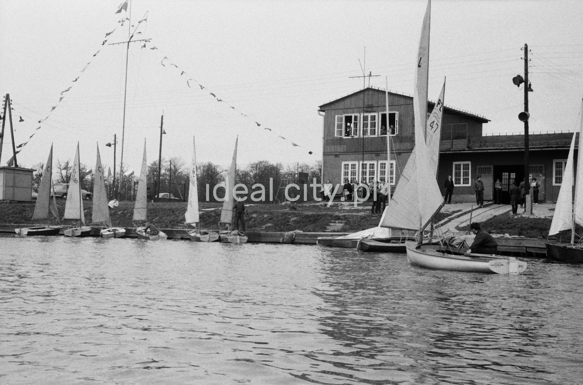 Żaglówki na jeziorze.