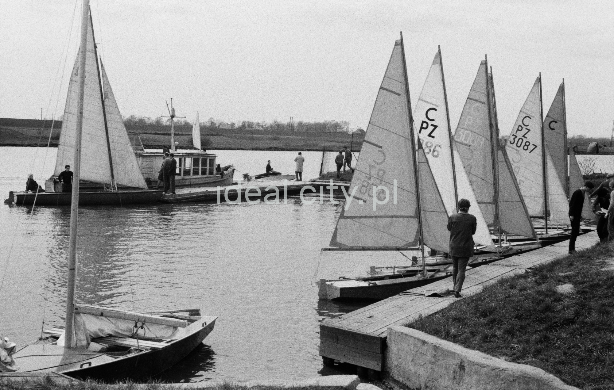 Żaglówki na jeziorze.