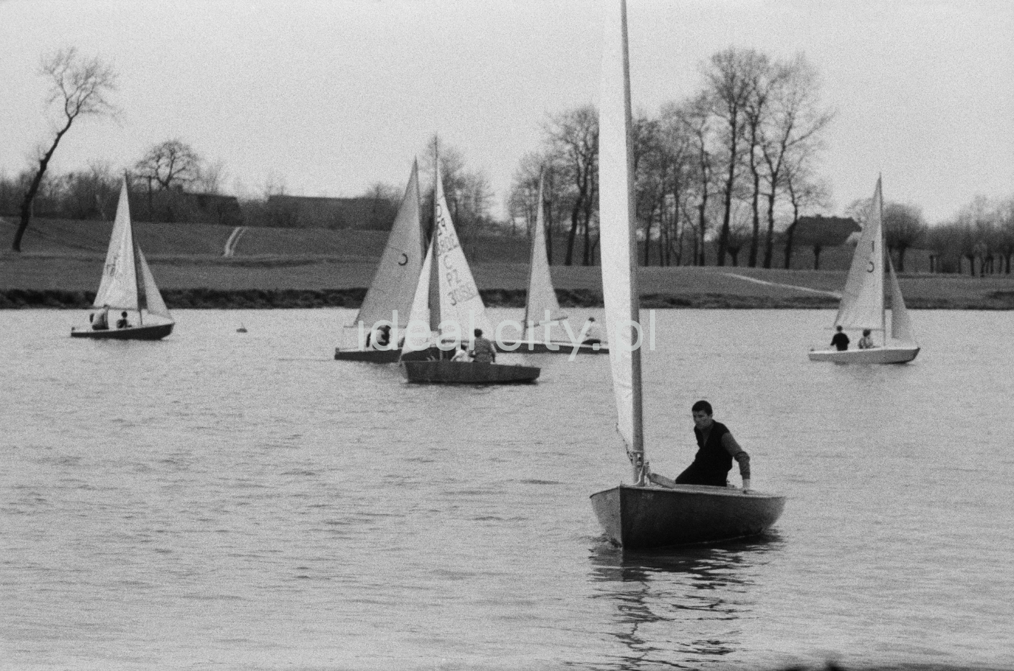 Żaglówki na jeziorze.