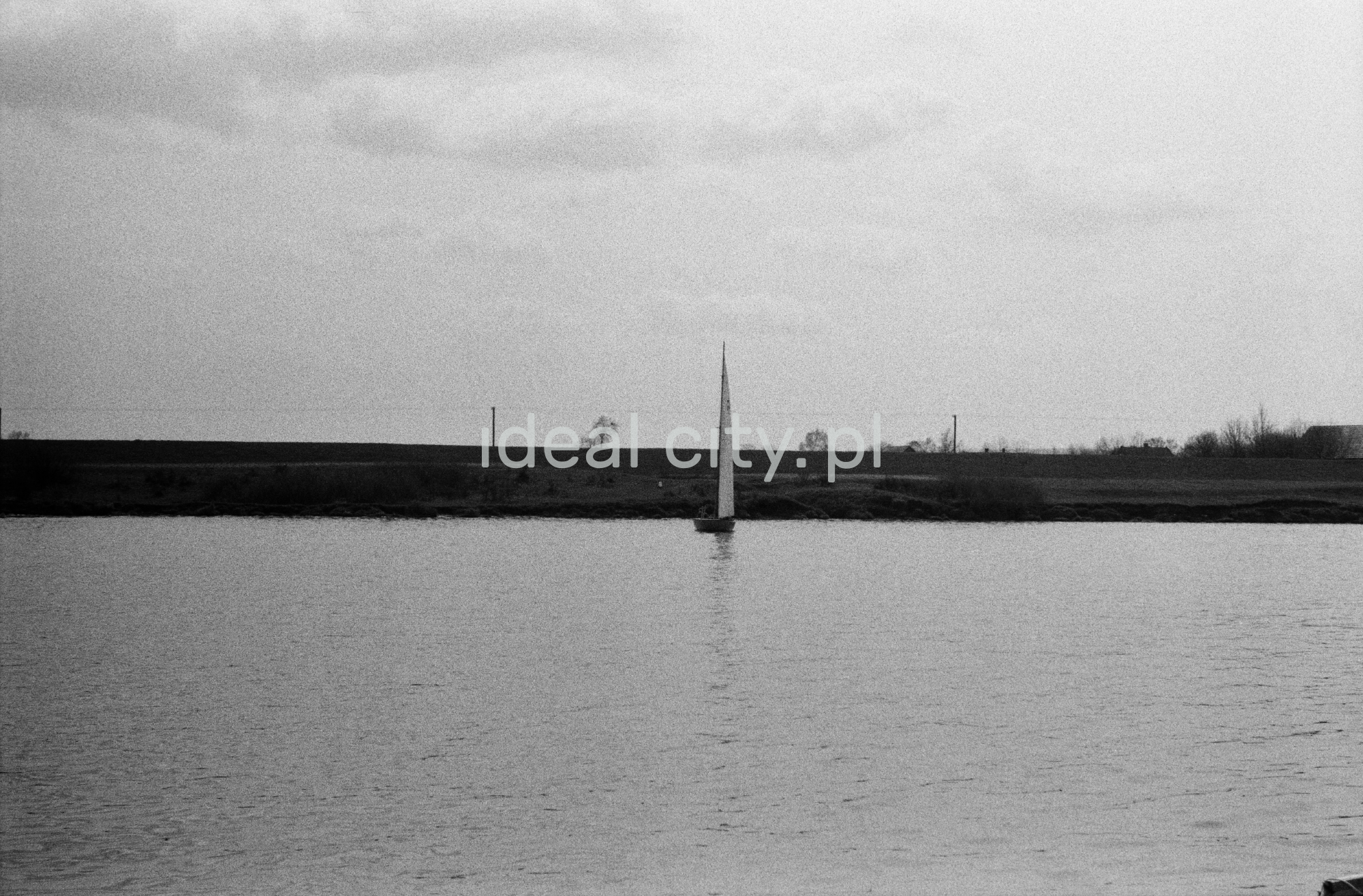 Żaglówka na tle linii brzegowej.