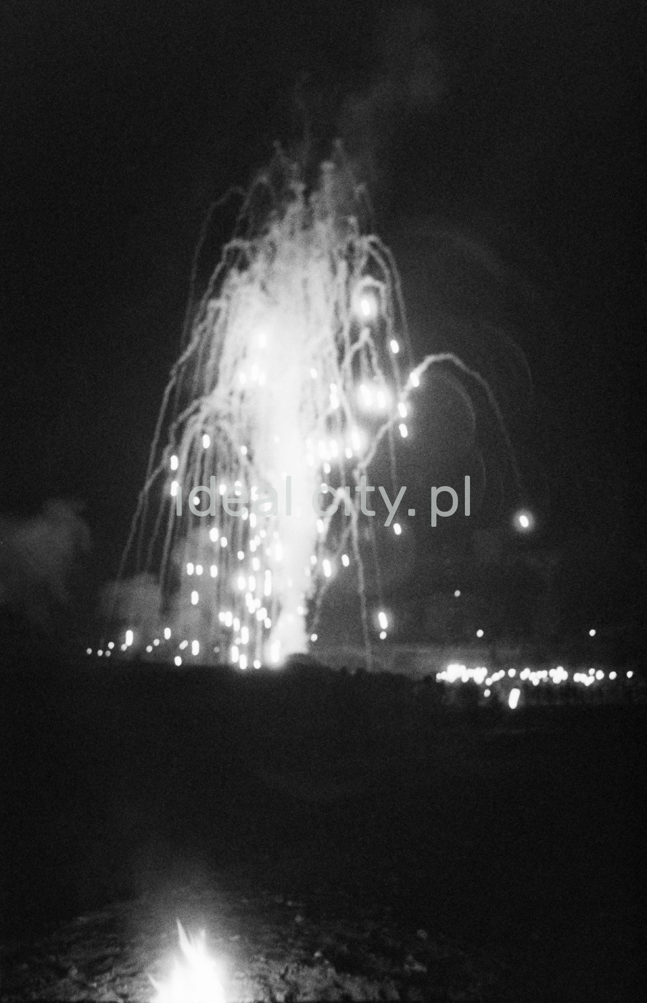 Tłum obserwuje nocą pokaz fajerwerków.