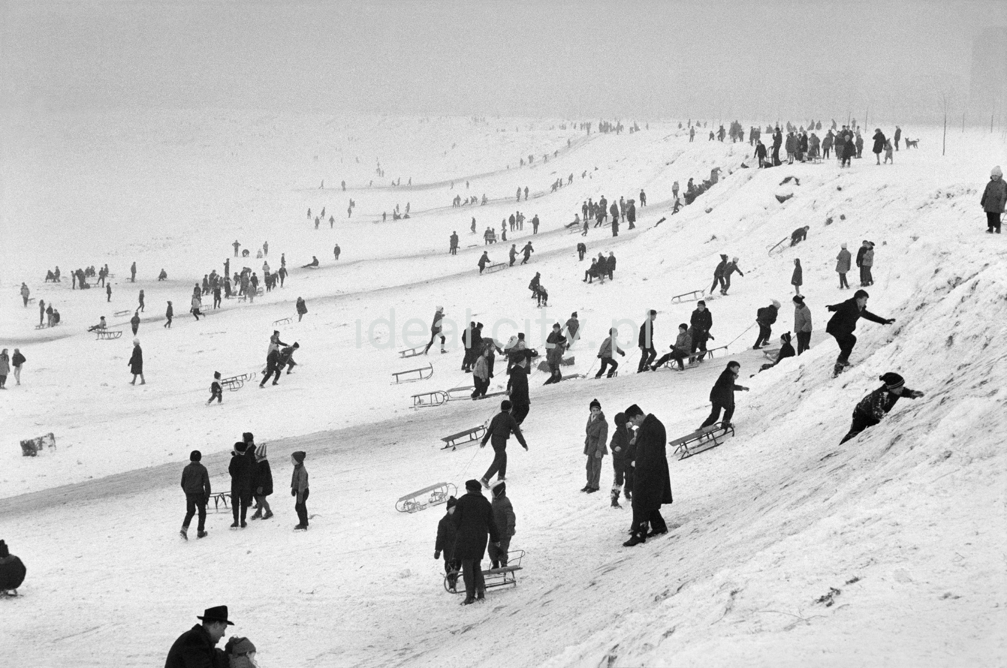 Perspektywiczne ujęcie na tłumy saneczkowiczów na pokrytej śniegiem skarpie.