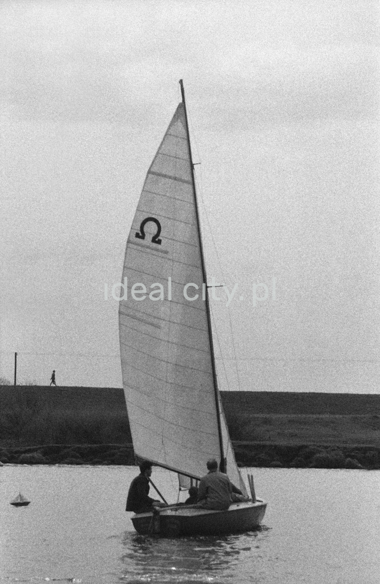 Żaglówki na jeziorze.