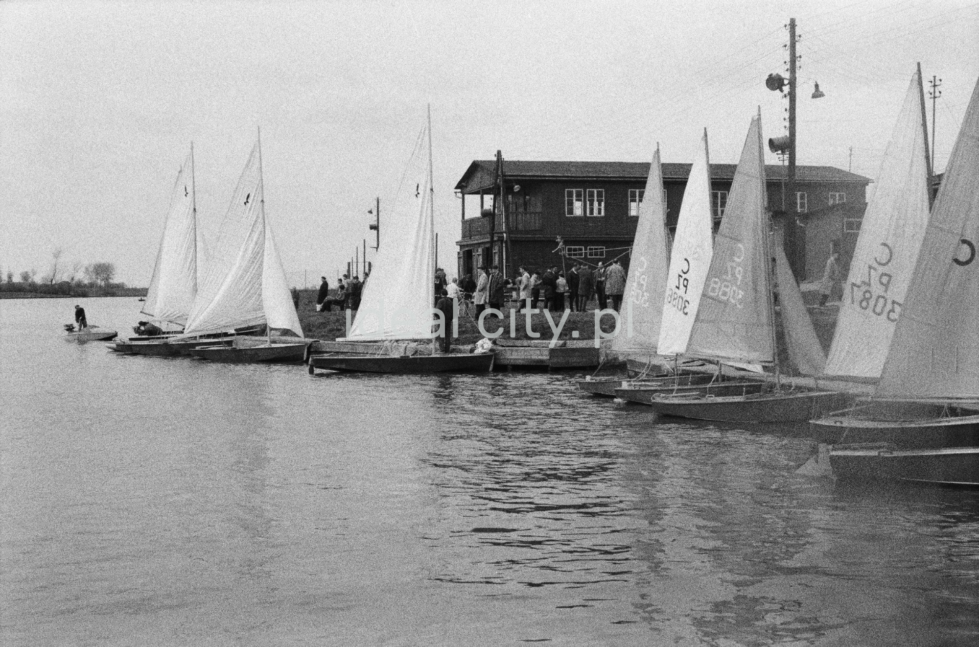 Żaglówki na jeziorze.