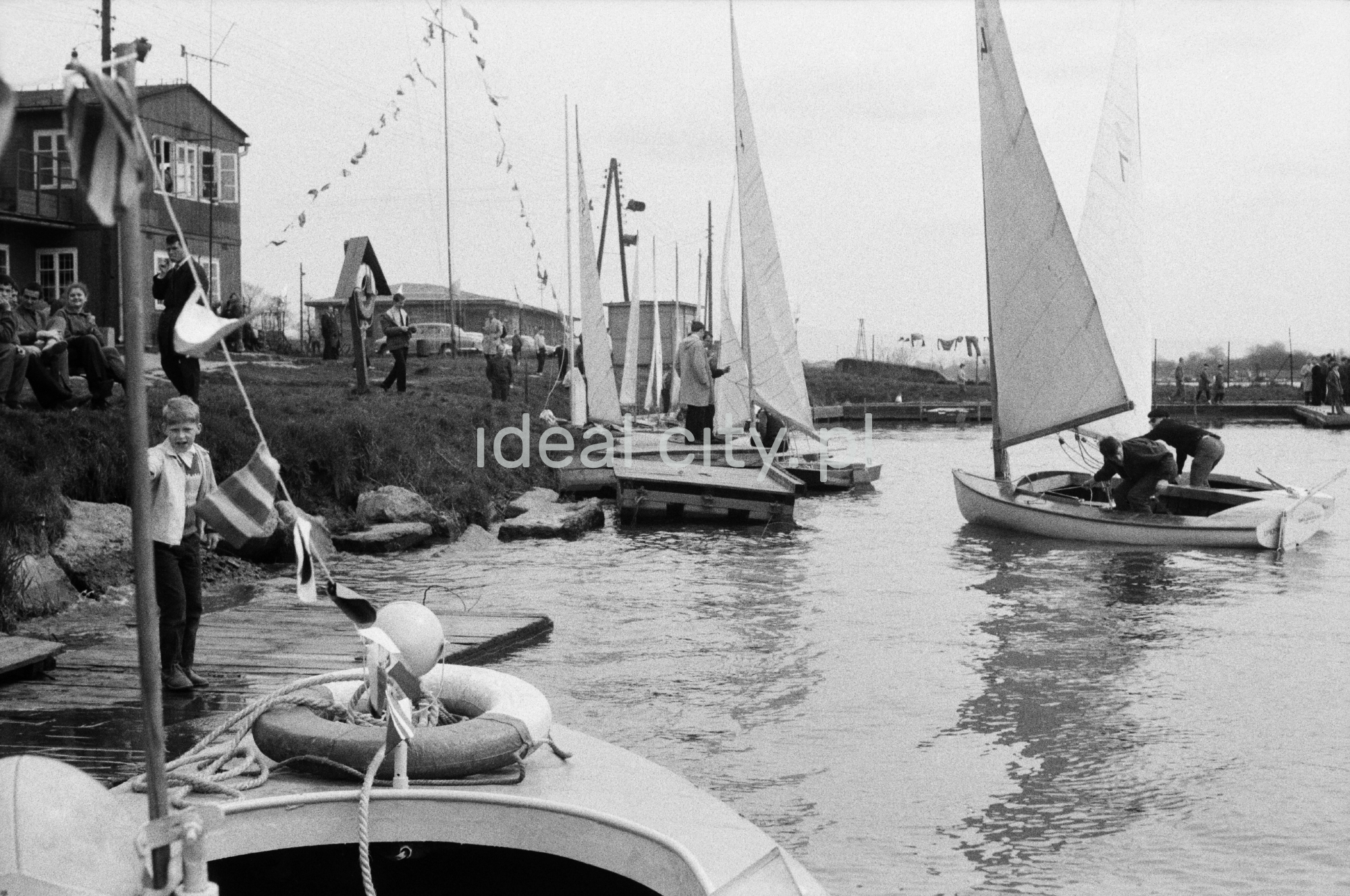 Żaglówki na jeziorze.