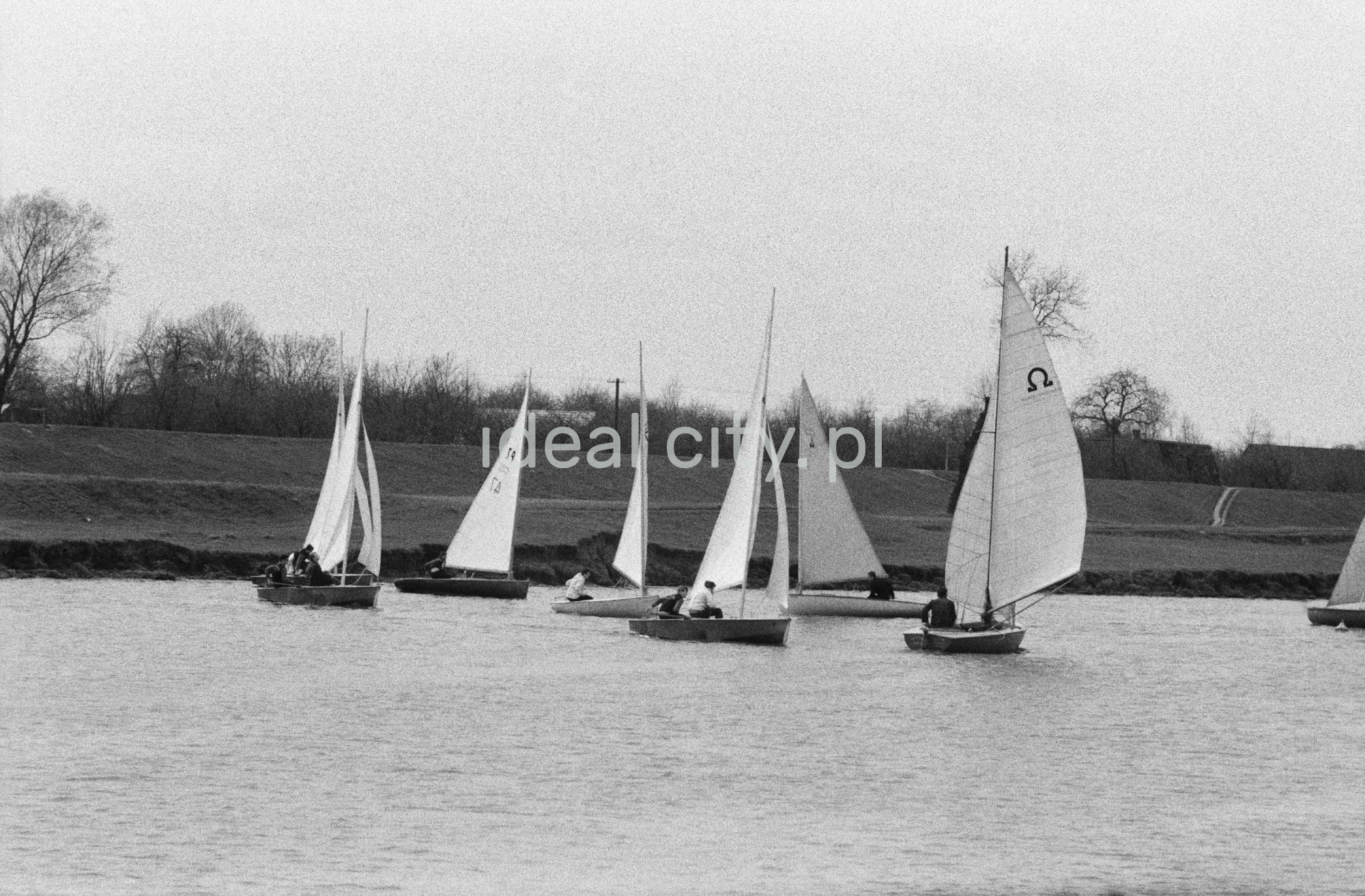 Żaglówki na jeziorze.