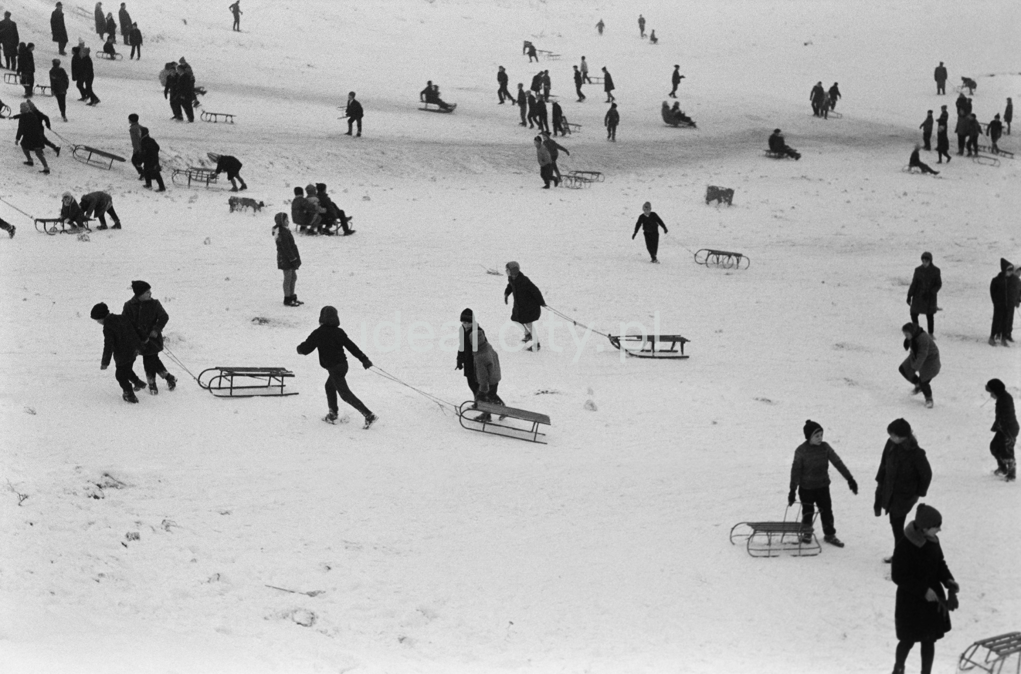 Perspektywiczne ujęcie na tłumy saneczkowiczów na pokrytej śniegiem skarpie.