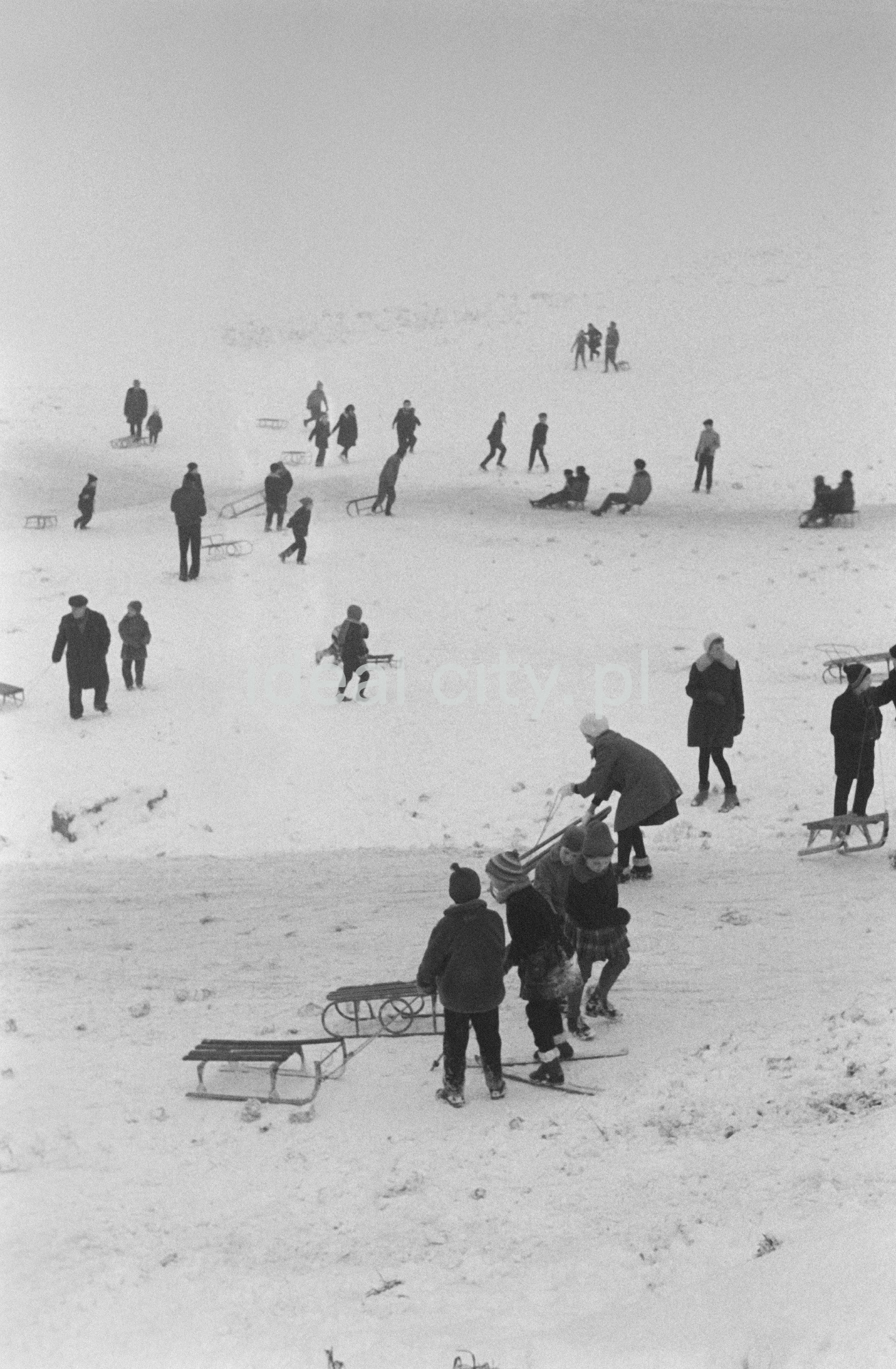 Perspektywiczne ujęcie na tłumy saneczkowiczów na pokrytej śniegiem skarpie.