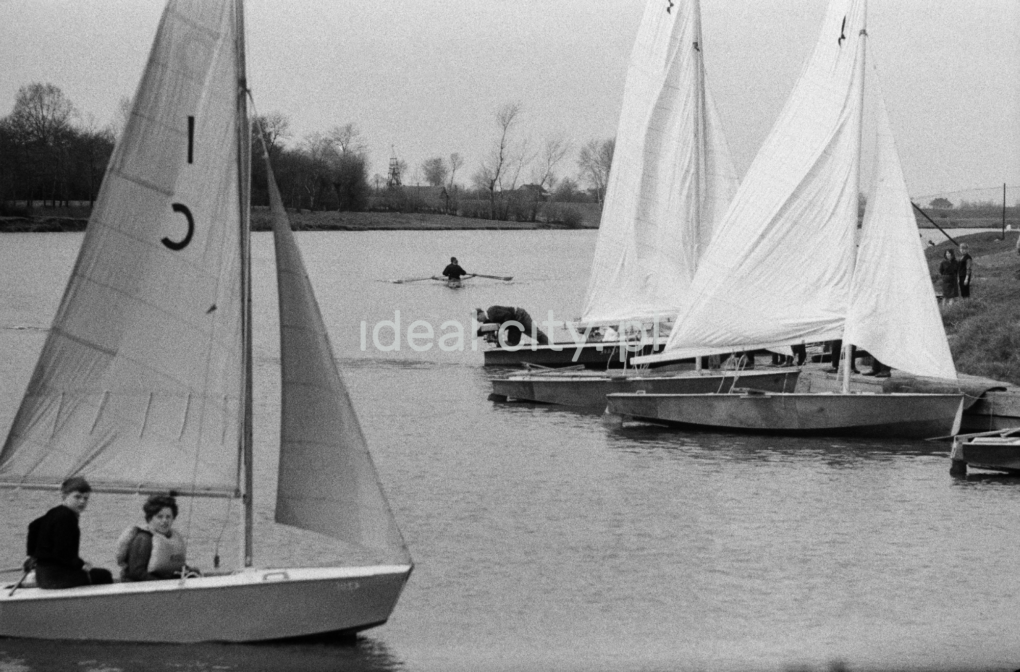 Żaglówki na jeziorze.